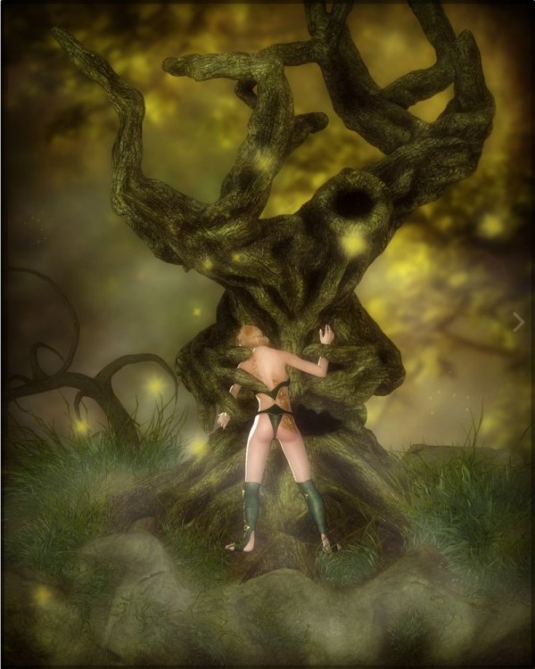  Into The Forest for V4 & Branchdur